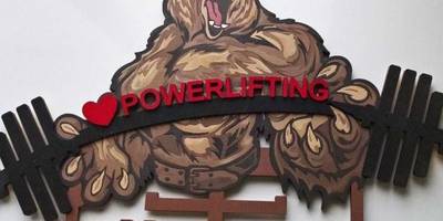 Медальницы