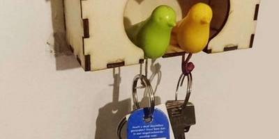 Ключница птички в доме
