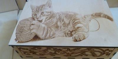 Шкатулка с котом