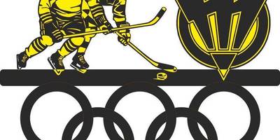 Медальница Хоккей 43