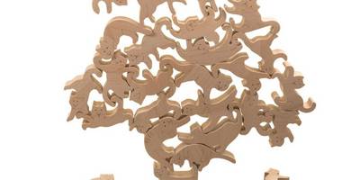 Игра котодженга