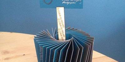 Канцелярия 236