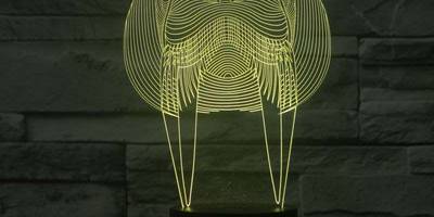 Led светильник морской лев