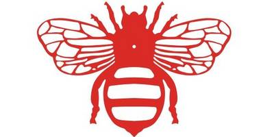 Часы заготовка силуэт мухи