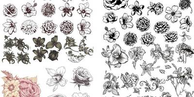 Набор иллюстраций цветов