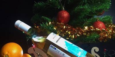 Новогодние сани