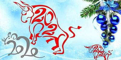 Новогодний 153