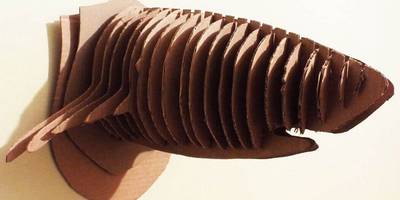 Настенная голова акулы