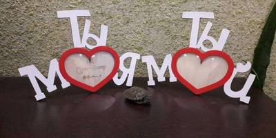 Фоторамка 305