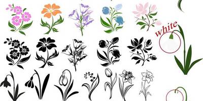 8 марта картинки цветов