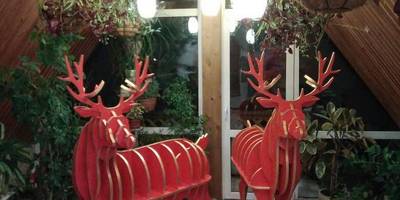 Полка олень