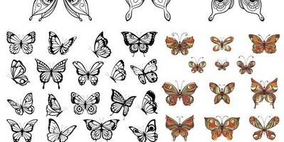 Набор изображений бабочек