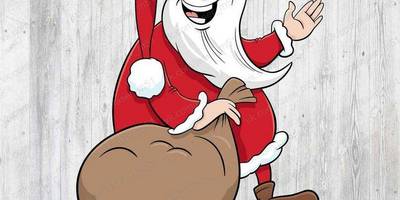 Дед мороз с мешком 177