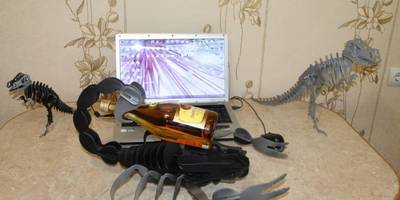 Мини бар скорпион