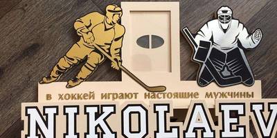 Медальница Хоккей 62
