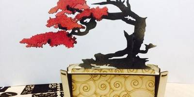 Шкатулка с деревом бонсай