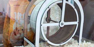 Колесо для Хомяка