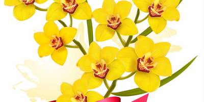 Принт международный женский день желтые цветы