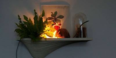 Полка ласточкино гнездо