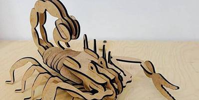 Модель скорпиона