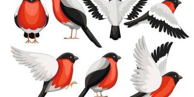 Новогодний 178