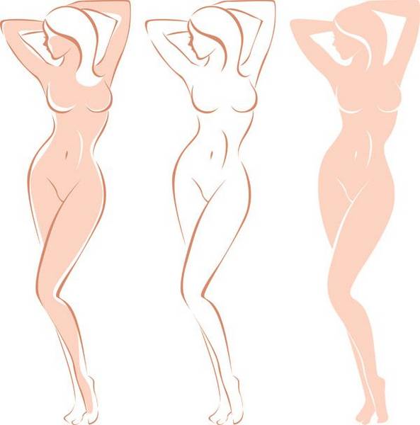 Женское тело силуэты стоя