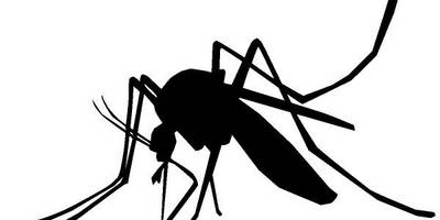 Животные 3194