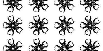 Бесшовный 120