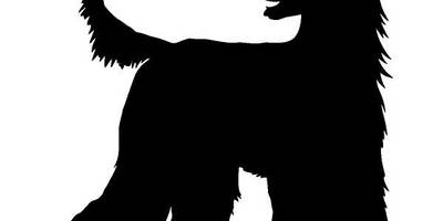 Животные 714