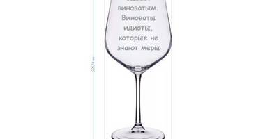 Вино не бывает виноватым. виноваты идиоты, которые не знают меры