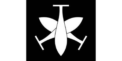 Японский узор 3010