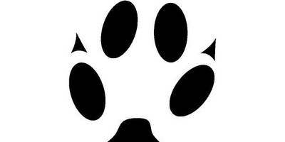 Животные 610