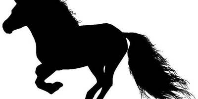 Животные 1199