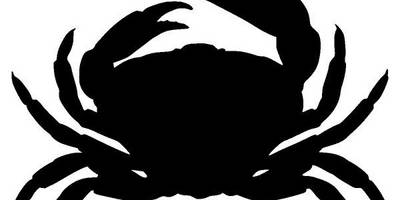 Животные 3968