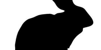 Животные 566