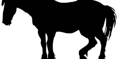 Животные 120