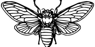 Животные 866