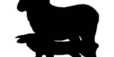 Животные 299