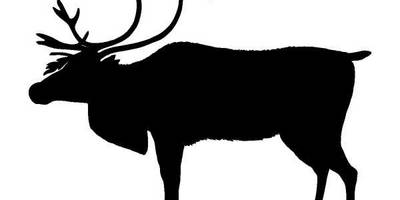 Животные 771