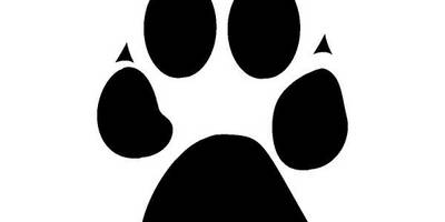 Животные 1234