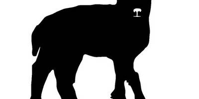 Животные 1331