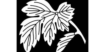 Японский узор 1491