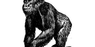 Животные 1002