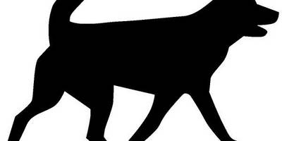 Животные 1105