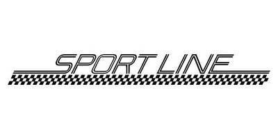 Виниловая наклейка на авто sport line 600