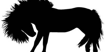 Животные 3969