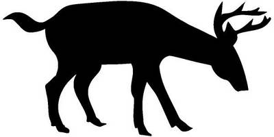 Животные 315