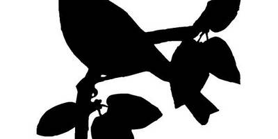 Животные 2765