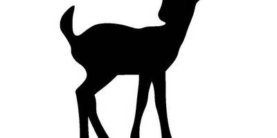 Животные 1993