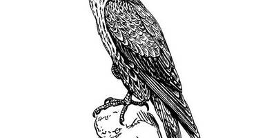 Животные 1079